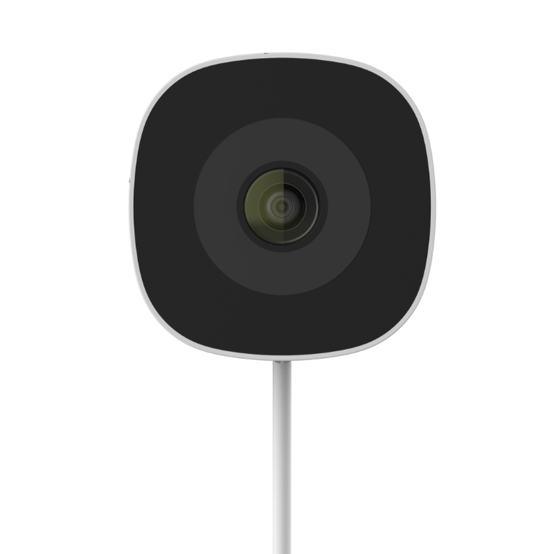 C09